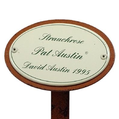 Rosenschild, Rosenstecker Emaille, Strauchrose: Pat Austin, David Austin 1995