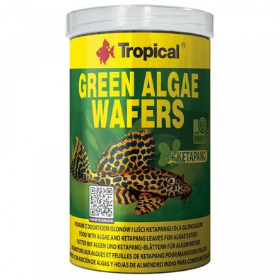 Tropical Green Algae Wafers 100ml - pflanzliche Futtertabletten Welse Aquarium