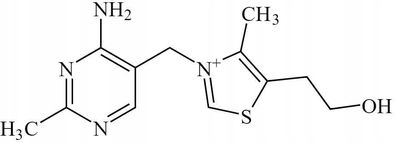 Vitamin B1 ( Thiamine ) 100g