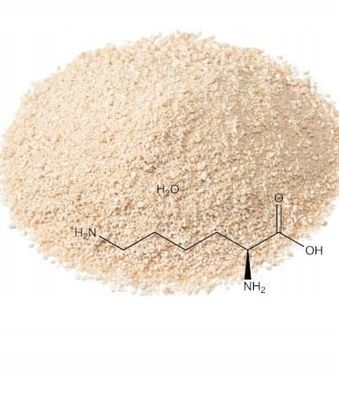 L - Lysin-Sulfat ( Lysine Sulfate ) - 25 000g = 25kg Sack