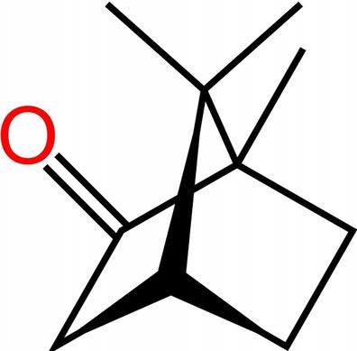 Kampfer Terpen Kampferum ( Camphor ) - 10g