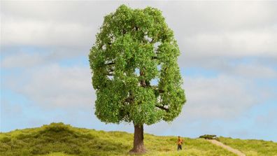 Noch Z - G 20100 Baum Esche europäisch