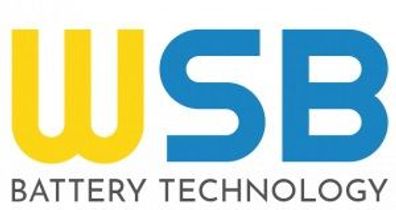 NiMH Akku für Welch Allyn / Braun Thermoscan pro 4000 - 2,4V 0,72Ah