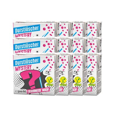 Durstlöscher Mystery mysteriöse Geschmackskreation 500ml 12er Pack