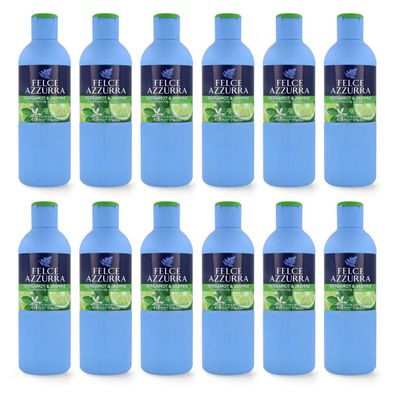 Paglieri Felce Azzurra Fresco Badeschaum Bergamotte & Jasmin 12x 650 ml