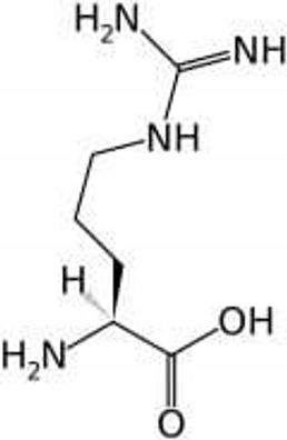 L- Arginin Aminosäure