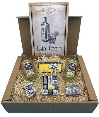 Geschenkbox Gin Tonic L4