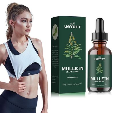 Mullein Leaf Drops Lung Purification Healthy Breathing For Respiratory Function