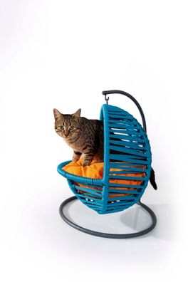 Raudi Katzen Hängesessel Cat Swing mit Kissen