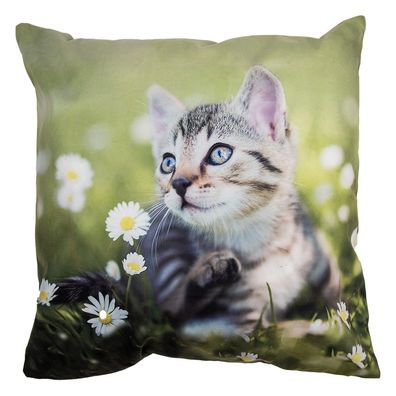 Clayre & Eef Kissenbezug 45x45 cm Grün Polyester Katze (Gr. 45x45 cm)