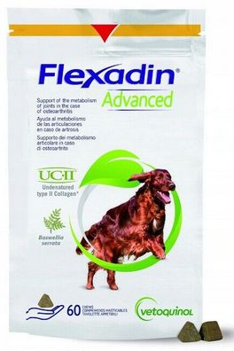 Flexadin Advanced Adult Dog 60 Chews für Hunde bei Osteoarthrose Optimale Gelenk