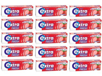 15x10 Extra Professional Fresh Erdbeere Kaugummi