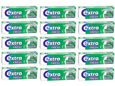 15x10 Dragees Extra Professional Fresh Spearmint Kaugummi