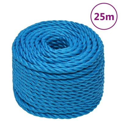 vidaXL Arbeitsseil Blau 14 mm 25 m Polypropylen