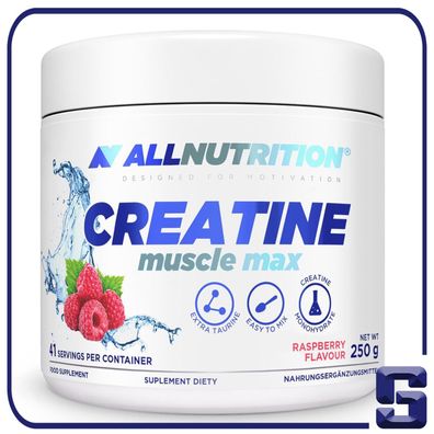 Allnutrition Creatine Muscle Max 250 g Kreatin Monohydrat Pulver Kreatinpulver