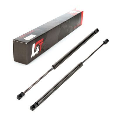 2x Gasdruckfeder Heckklappen Dämpfer Kofferraum 625N für Renault SCENIC II 2 JM