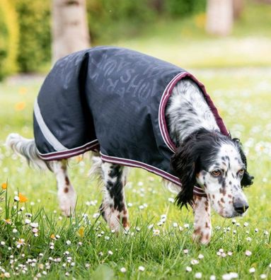 Horseware Amigo Ripstop Dog Rug 100g Navy HW Print/ Burgandy & White Hundedecke