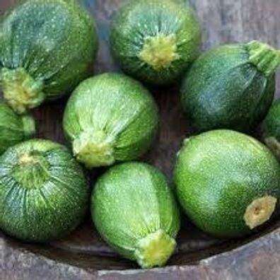 BIO Zucchini Samen Sorte Tondo di Piacenza Gemüsesamen BIO Gemüse