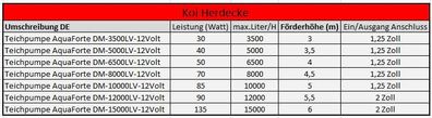 AquaForte Teich und Poolpumpe DM-6500 LV-12V