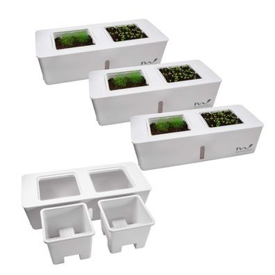 4er Set Kräuter Gewächshaus Bewässerungssystem Kräutergarten Zimmergewächshaus