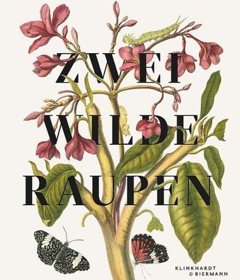 Zwei wilde Raupen: Die Abenteuer in den Bildern von Maria Sibylla Merian, V