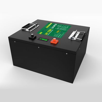 LiFePO4 Akku 24V 170Ah 150A Lithium-Eisen-Phosphat Batterie für Camping Boot Wohnm