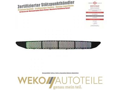 Lüftungsgitter, Stoßfänger Diederichs 1415045 für FORD