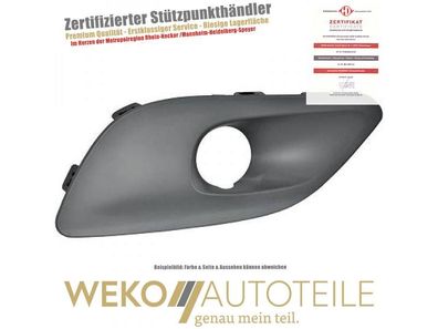 Blende, Nebelscheinwerfer links Diederichs 4236049 für Peugeot