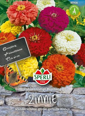 Sperli Zinnien Dahlienblütige Mischung - Blumensamen