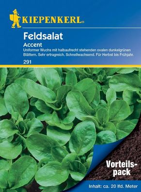 KIEPENKERL® Feldsalat Accent - Gemüsesamen