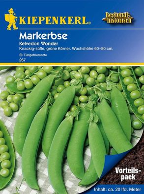 KIEPENKERL® Markerbsen Kelvedon Wonder Vorteilspack175 g - Gemüsesamen