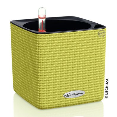 LECHUZA® Pflanzgefäße CUBE Color 14 Limette grün mit Dochtsystem