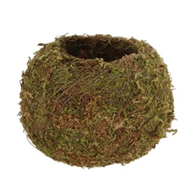 Esschert Design Kokedama Moos-Kugel S Ø 9 cm