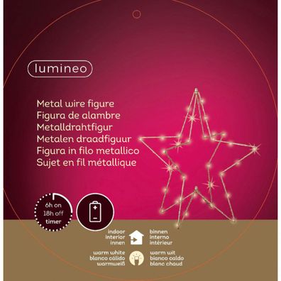 Lumineo Weihnachtsstern Ø 38 cm 40 Micro LED´s batteriebetrieben für Innen