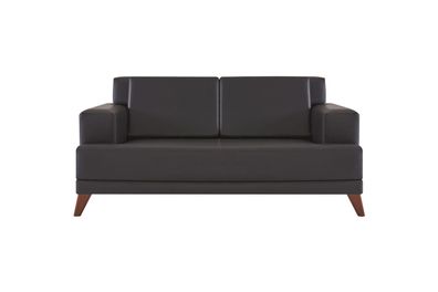 Couch Leder 2-Sitzer Sofa Schwarz Einfarbig Modern Design Ledesofa Holz