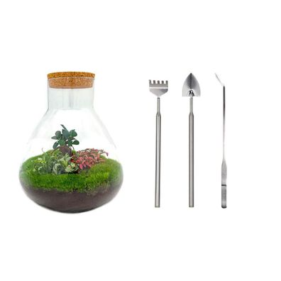 Flaschengarten - Sam XL Bonsai - Rake + Shovel + Tweezer - Ø29cm - 35cm - Ökosys