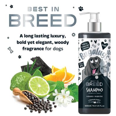 Bugalugs bestes Hunde Pflegeshampoo mit Aktivkohle Zitrusfrüchte Duft Premium