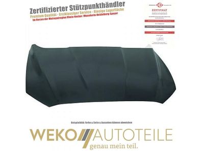 Motorhaube Diederichs 1429000 für FORD