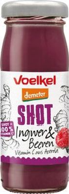 Voelkel 6x Shot Ingwer & Beeren Vitamin C aus Acerola 95ml