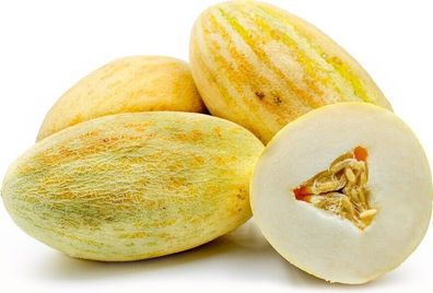 Riesige Honigmelone aus Usbekistan - GIANT UZBEK Sweetness - 5+ Samen Cm 031