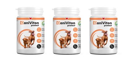 3x90 Tabletten Vetoquinol Caniviton Protect für Hunde und Katzen