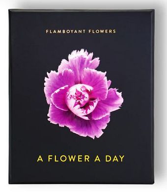 Seltmann Publishers Abreisskalender Flamboyant Flowers