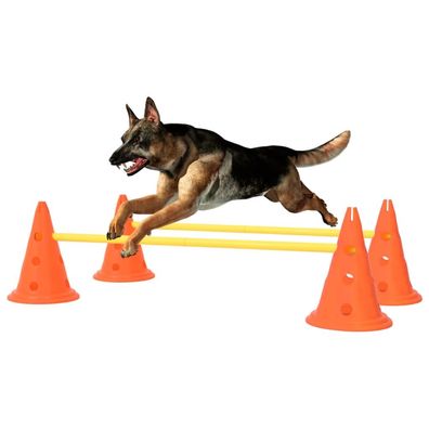 vidaXL Agility Hundetraining Hindernis-Set Orange und Gelb