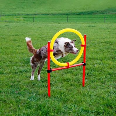 Kerbl Agility Komplett-Set für Hunde Rot 80758