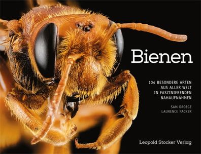 Bienen, Sam Droege