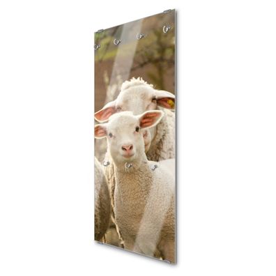 banjado® Garderobe groß Glas 7 Haken Motiv Schaffamilie