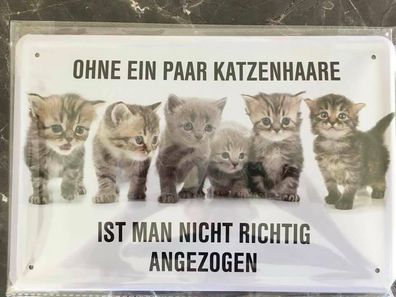 Blechschild 20x30 cm: ohne ein paar Katzenhaare ist man nicht angezogen Cat