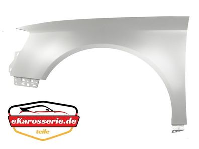 Kotflügel passend für VW Passat B6 3C 05-10 links LA7W Reflexsilber NEU