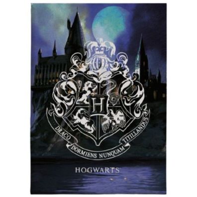 Harry Potter Hogwarts Fleece Decke 100 x 140 cm - 100 % Polyester