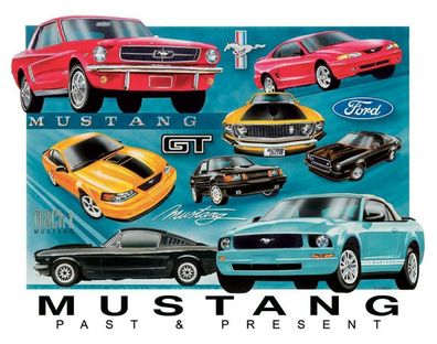 US Schild ca. 30 x 40 cm Ford Mustang Mustang Chronology past + present